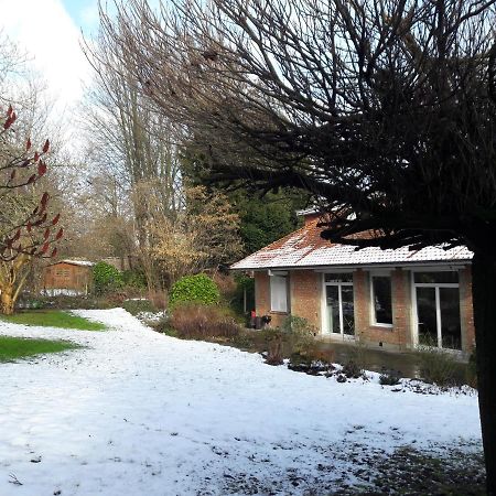 Un Grand Jardin En Ville. Chez Guy Uccle Екстер'єр фото