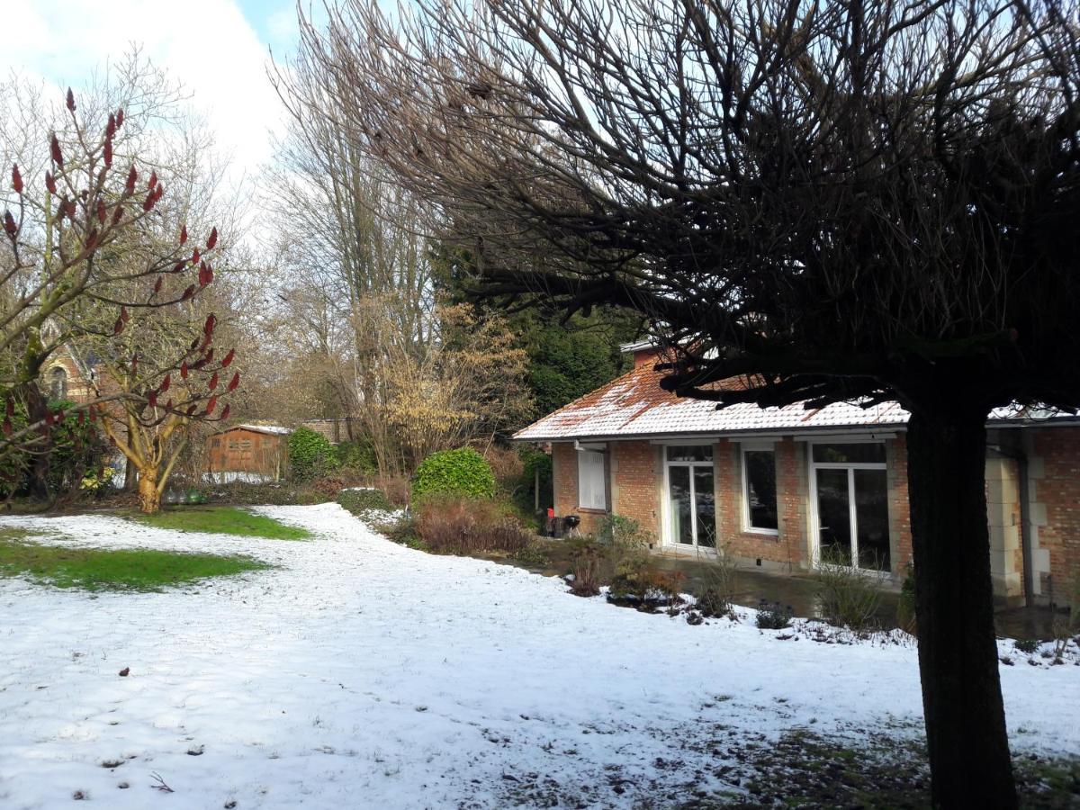 Un Grand Jardin En Ville. Chez Guy Uccle Екстер'єр фото